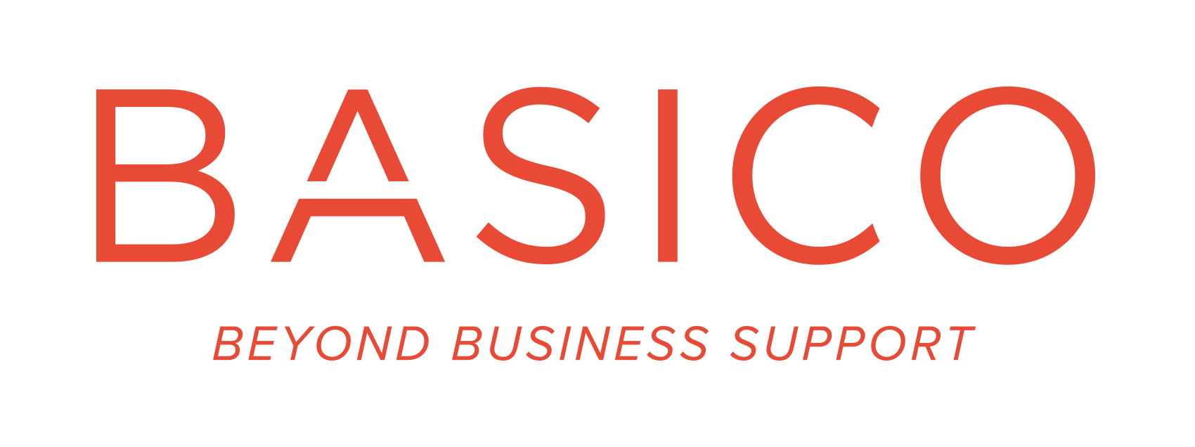 Basico - Beyond Business Support